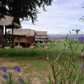 Lungcha Homestay