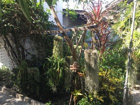 Pancake House B&B