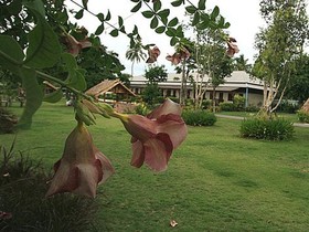 Pilton Resort