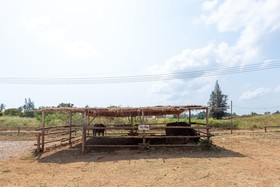 The Barn Hua Hin