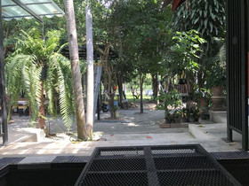 The Monkey Resort Donheang