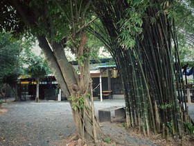 The Monkey Resort Donheang