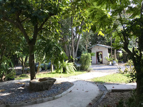 The Monkey Resort Donheang