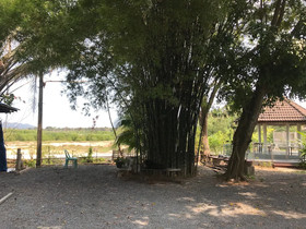 The Monkey Resort Donheang