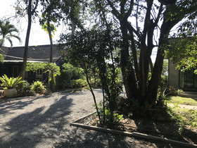 The Monkey Resort Donheang