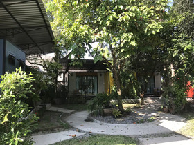 The Monkey Resort Donheang