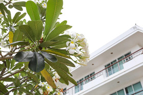 KM Condo Seaside