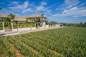 Paprai Villas And Suites