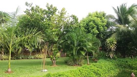 Malee Garden
