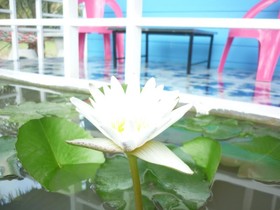 Maneemudjalin Resorts Farm Stay