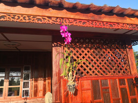 Pumaka Resort