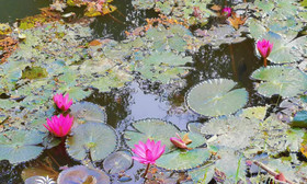 Baan Suan Wassana