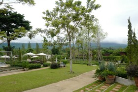 Limon Villa Khao Yai by Tolani