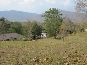 Ban Paja Resort