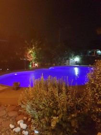 Nuch's Apple Guest House