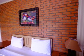 See Stars & Forest Resort