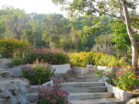 Wind Hills Resort