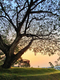 I View Park Resort