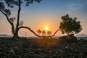 Big Sun Residence By Iretreat