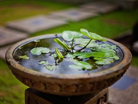 Ocean Breeze Residence