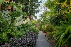 Bandara Spa Resort & Pool Villas, Samui
