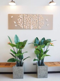 Samui City Hotel