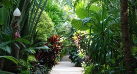 White House Beach Resort & Spa