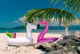 Alpha Gay Resort & Spa