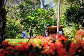Alpha Gay Resort & Spa