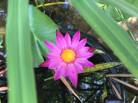 Baan Patcharintorn Samui