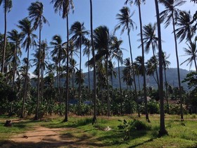 Baan Punsuk Samui