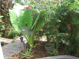 Baan Sukreep Resort