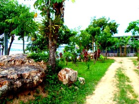 Bangrak Bungalow
