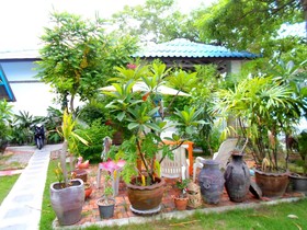 Bangrak Bungalow