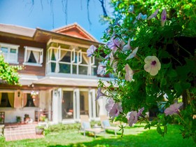 Banyan House Samui Bed and Breakfast