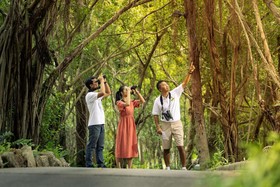 Banyan Tree Samui