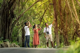 Banyan Tree Samui