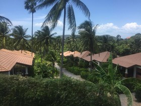Blue Coconut Residence