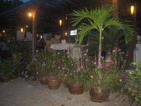 Calm Beach Resort
