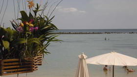 Chaweng Chalet Resort