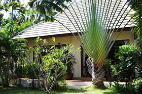 Easy Time Resort Samui