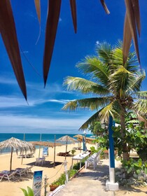 Lamai Chalets