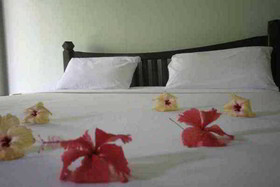 Lamai Inn 99