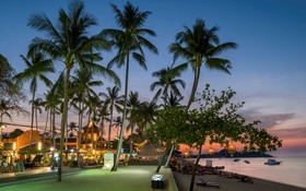 The Lamai Samui