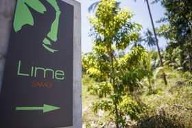 Lime Samui