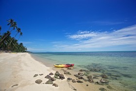 Lotus Samui