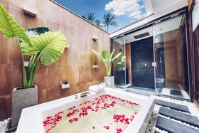 Lotus Samui