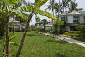 Lotus Samui