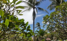 Maenam Hills Samui Villa