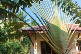 Maenam Hills Samui Villa